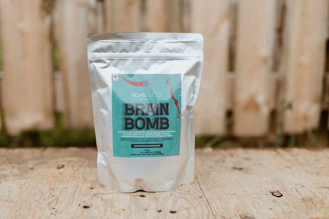 Brain Bomb