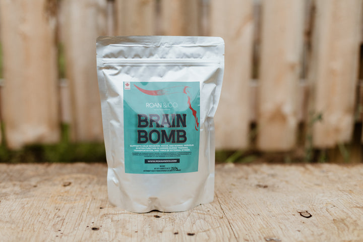 Brain Bomb