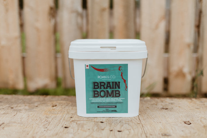 Brain Bomb