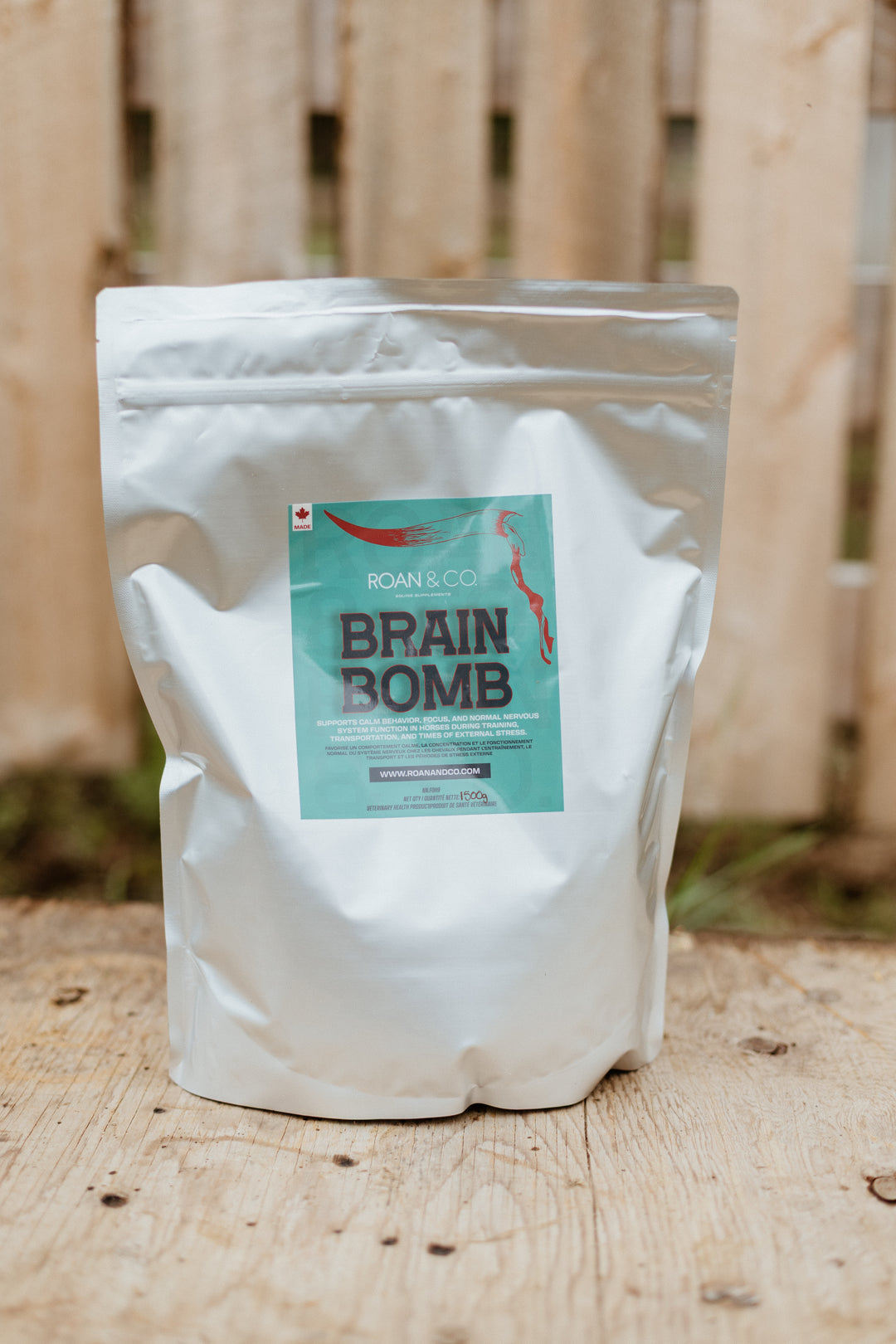 Brain Bomb