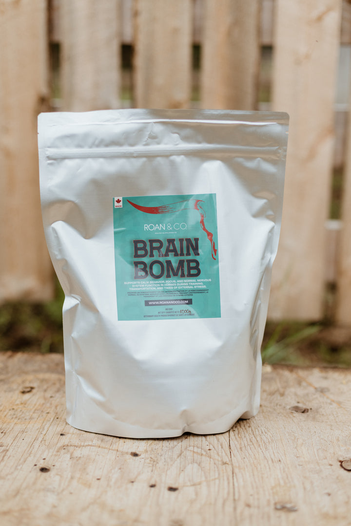Brain Bomb