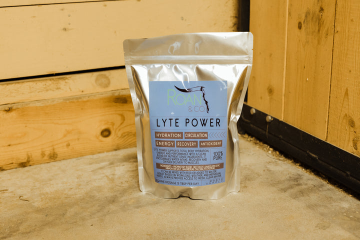 Lyte Power