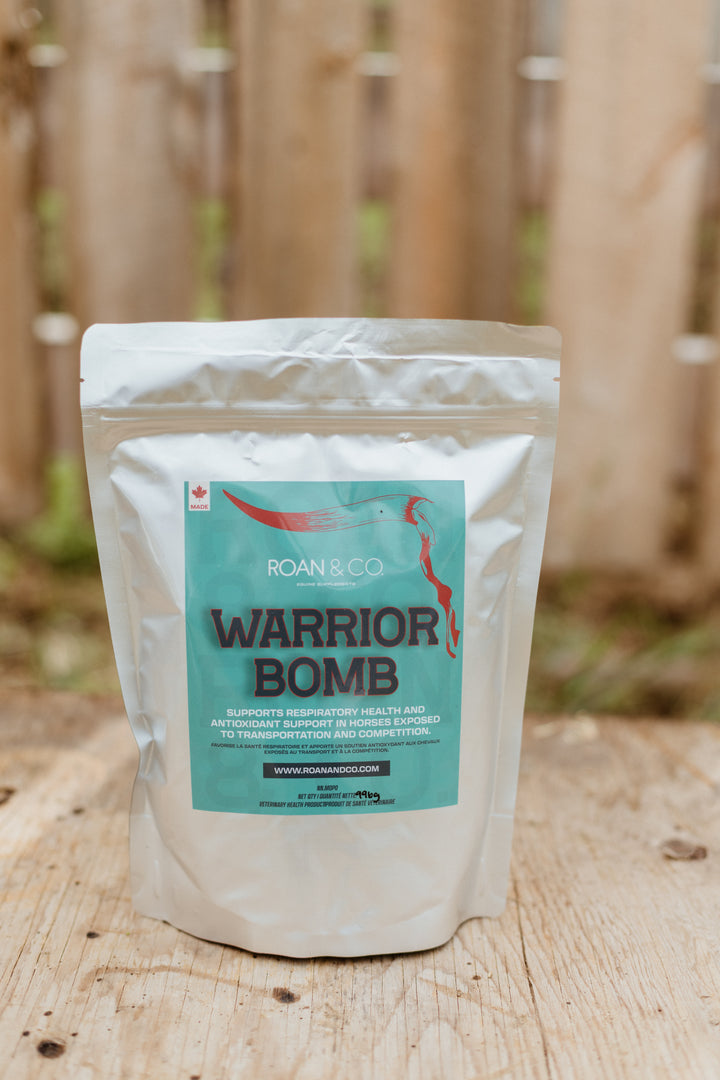 Warrior Bomb