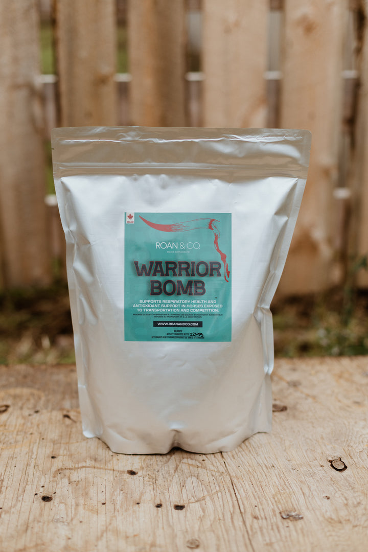 Warrior Bomb