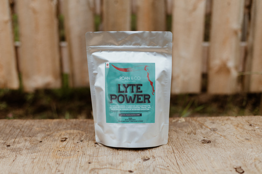 Lyte Power