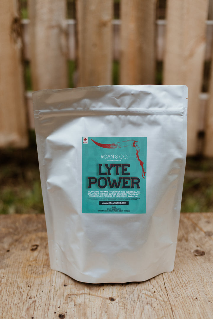 Lyte Power