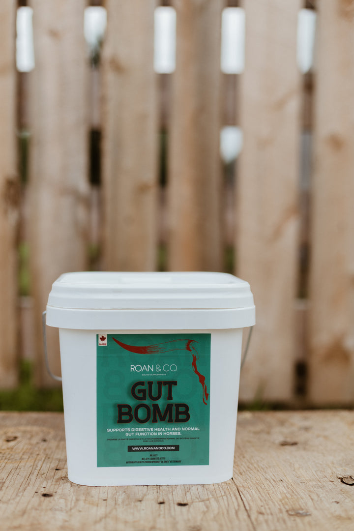 Gut Bomb