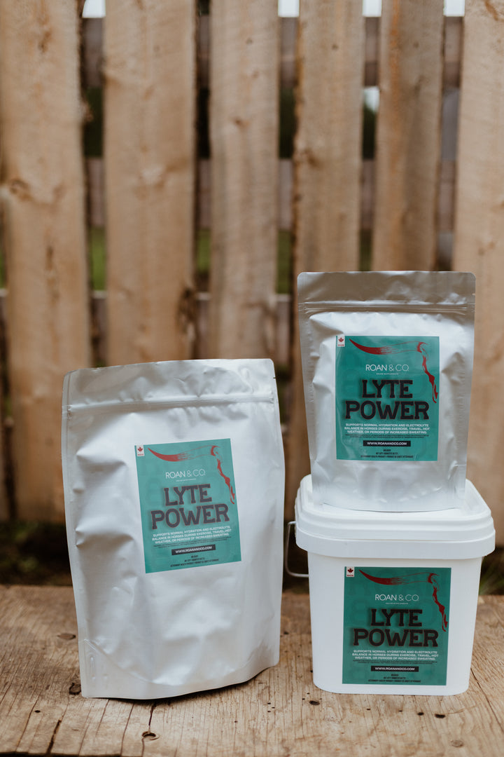 Lyte Power