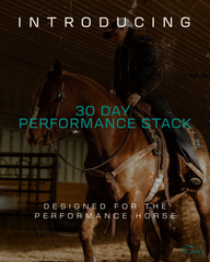 30 Day Performance Stack