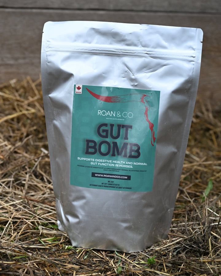 Gut Bomb