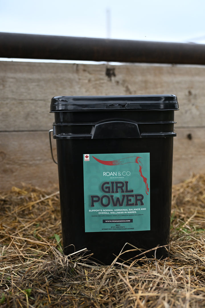 Girl Power